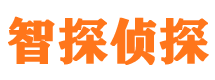 中阳外遇出轨调查取证